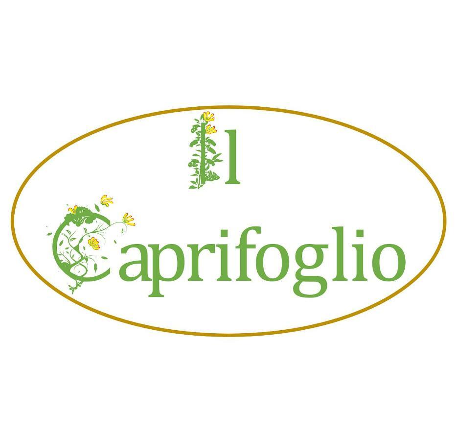 Il Caprifoglio Hotell Pisa Eksteriør bilde